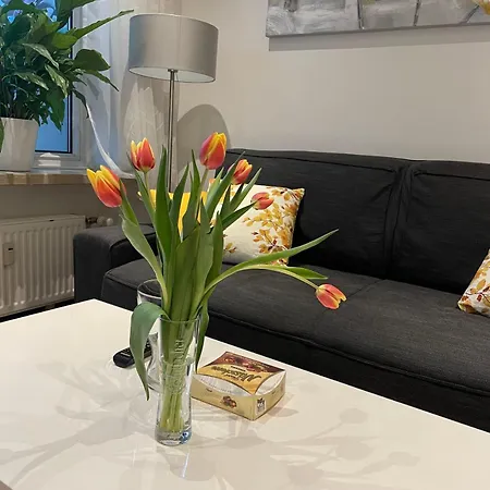 Modernes Mit Balkon&kostenlosem Parkplatz